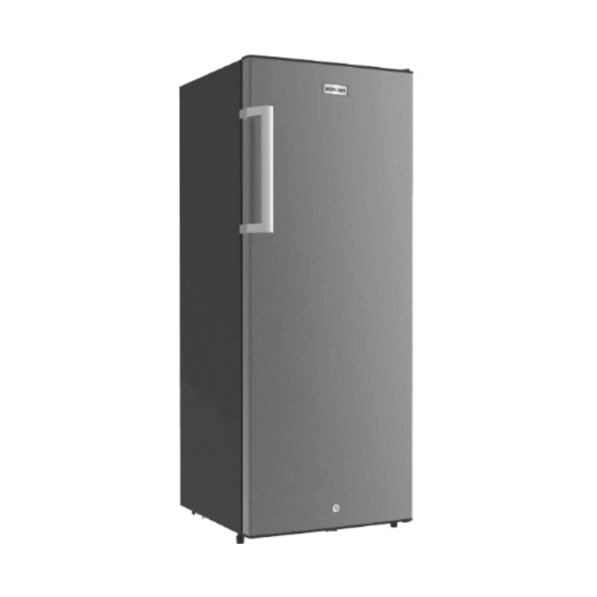 173L Single Door Upright Inverter Freezer